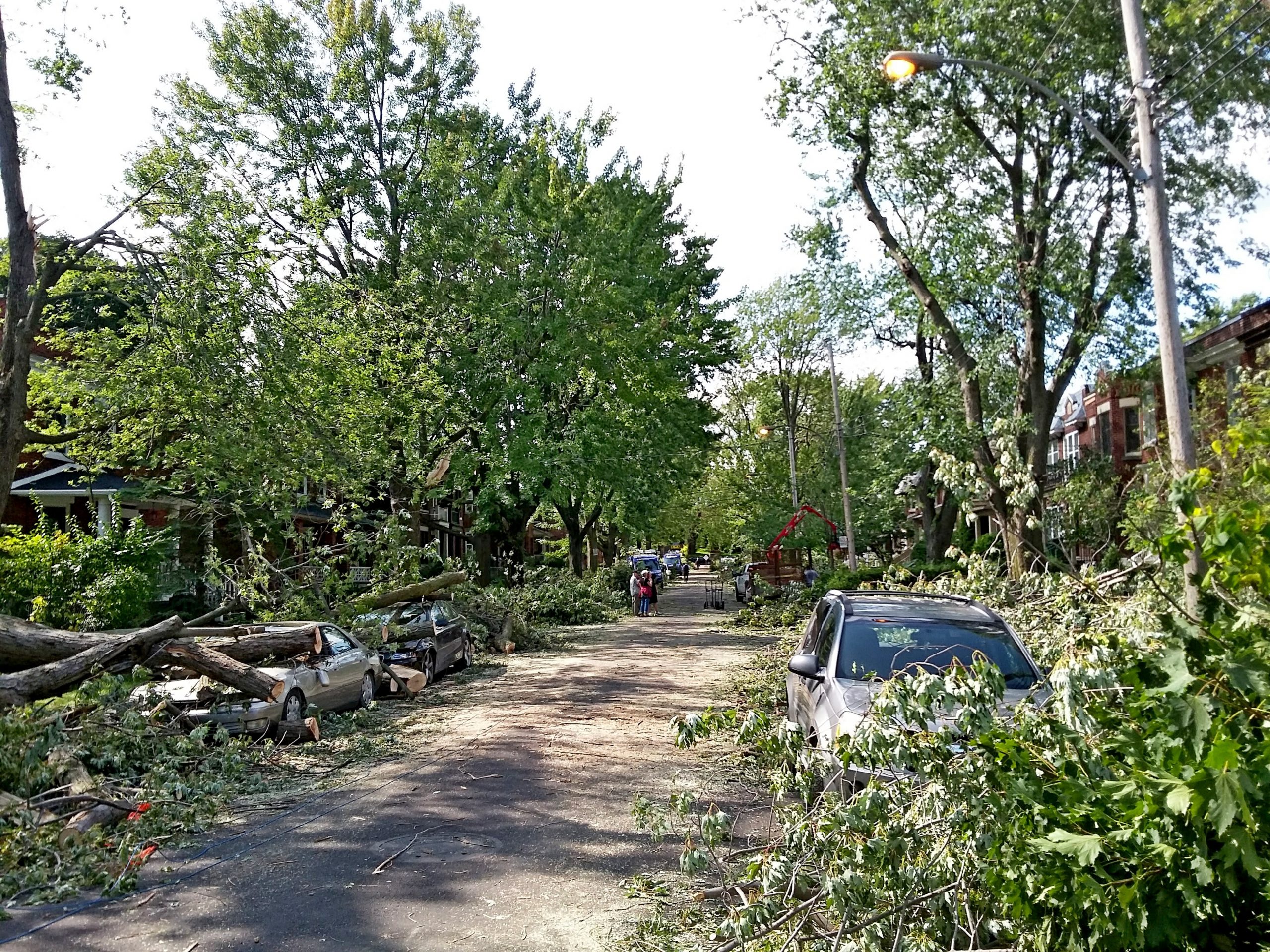 Private : How do we assess tree-related risks?